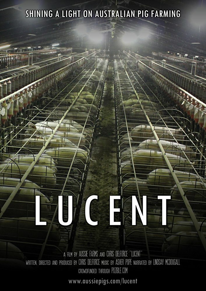 Lucent (2014) постер