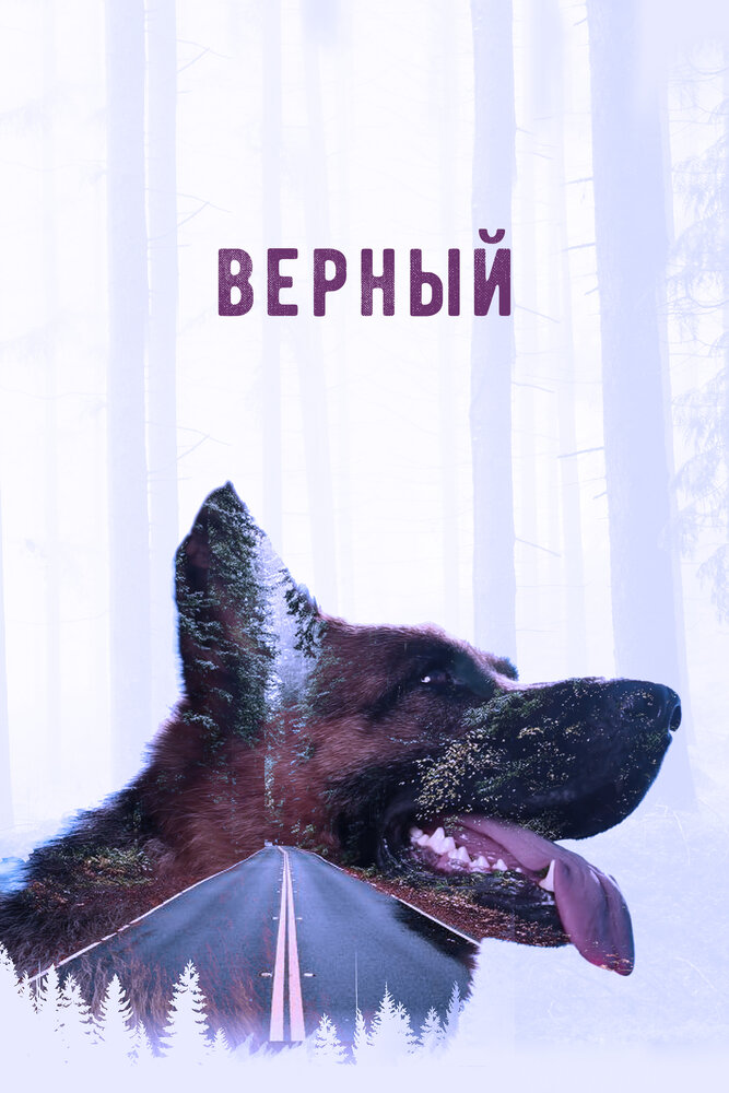 Верный (2016) постер