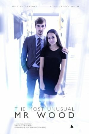 The Most Unusual Mr Wood (2015) постер