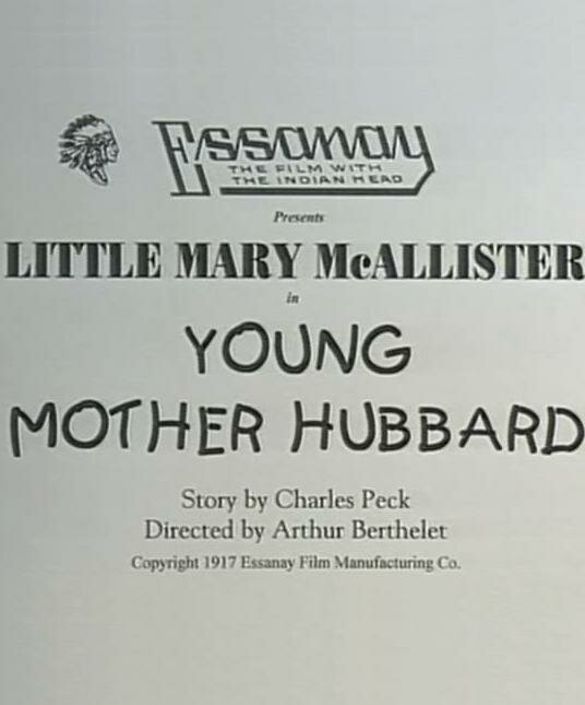 Young Mother Hubbard (1917) постер