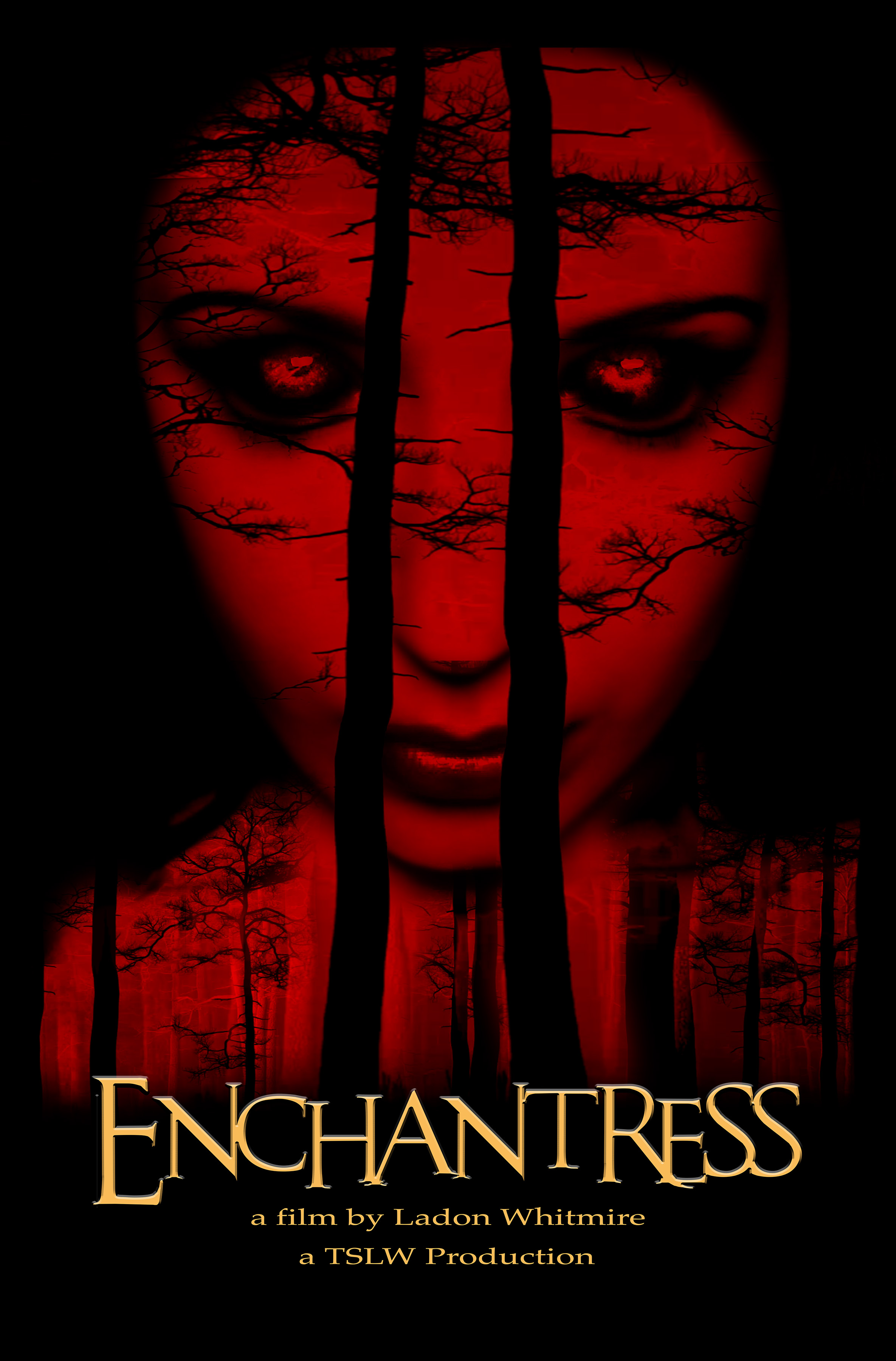 Enchantress (2022) постер